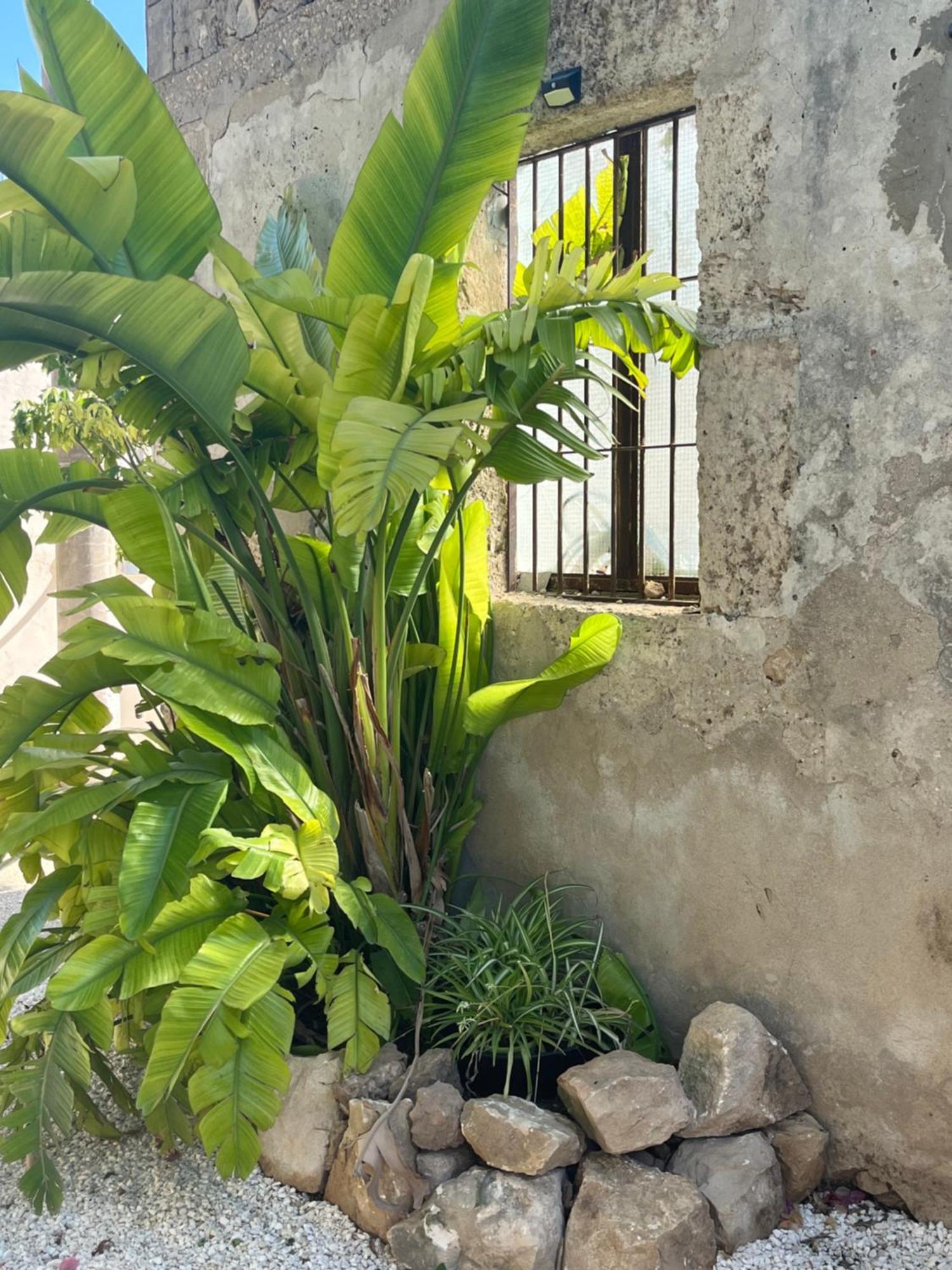 Apartamento U Pantanu Syracuse Exterior foto